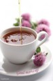 /album/jo-reggelt-kepek-/goodmorning000453vipics-jpg/
