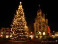 /album/karacsonyi-kepek-/a10077-arbol-de-navidad-en-gouda-holanda-jpg/