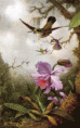 /album/madarak-/b372bea7bde2d884889f45c8c5dec55d-gif/