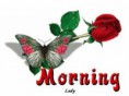 /album/jo-reggelt-kepek-/morning-jo-reggel-jpg/